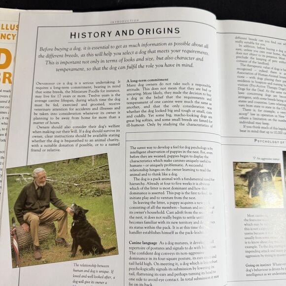 Illustrated Encyclopedia of Dog Breeds: The Comprehensive Visual Directory [280] - Picture 7 of 9